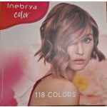INEBRYA COLOR PPD-mentes hajfesték 100ml.